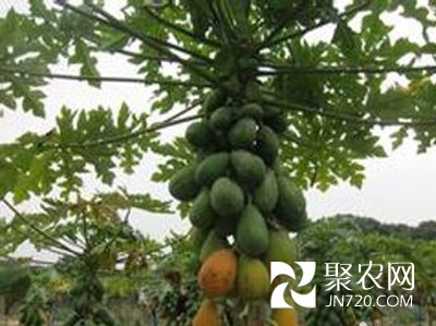 圖片3