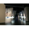 價(jià)格優(yōu)惠的特質(zhì)異形展柜到哪買——展覽館展柜