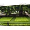 蘭州專業(yè)的花壇提供商 甘肅花壇供應(yīng)商