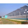 新型園藝溫室建造|【誠薦】園藝溫室建造公司