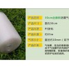電商氣柱袋 為您提供優質的氣泡膜資訊