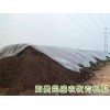 高性價民盛有機肥民盛農牧生產供應|批發有機肥