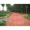 優質路面磚任你挑