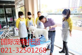 上海到加拿大國際海運 專業(yè)私人搬家 行李托運 包清關(guān)送貨一條龍服務(wù)