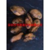 服務好的水產品智能烘干機定制服務找哪家——智能烘干機哪家好