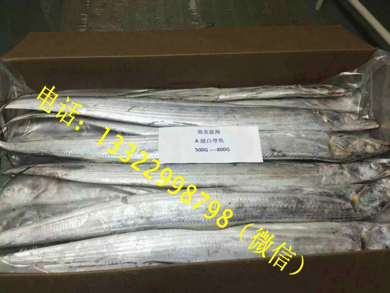 廣東深圳供應印尼帶魚