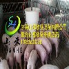 濟南養豬料線哪家好——養豬設備供應商
