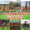 小行距移栽機|華龍機械提供優惠的蔬菜移栽機