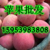 紅富士蘋果批發基地 山東紙袋蘋果價格