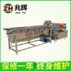 渦旋式洗菜機(jī)廠家，廣東價(jià)格適中的兆輝新款渦流洗菜機(jī)供應(yīng)
