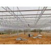 專業(yè)、又省錢！找旭豐溫室！【溫室工程  溫室大棚 溫室大棚建設】