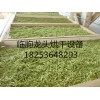 選購好用的黃花菜烘干設備就選龍頭機械：生姜烘干機