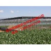 山東智能溫室大棚——選智能溫室大棚搭建找明君農業