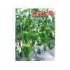 太空椒種子批發(fā)價(jià)格，[圣日蔬菜良]太空九號(hào)甜椒種子品質(zhì)好