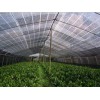優質保溫被——優質的遮陽網就在海納溫室材料