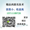 新型農業(yè)技術培訓個人創(chuàng)業(yè)投資項目