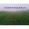 N63微噴帶價格|河北張家口蔚縣油用牡丹噴灌軟帶