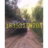爬山王四驅農用車 鷹潭拉毛竹的四驅運輸車