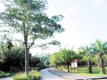 廣東江門鶴山市共和鎮打造江門近郊生態休閑旅游體驗中心