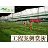 蔬菜種植必備手冊，建設(shè)蔬菜大棚，選擇芳誠溫室