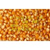 現(xiàn)金求購：大豆、玉米、大麥、棉（豆、菜）粕