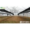 簡易連棟拱棚，大棚建設專業，芳誠溫室