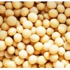 現(xiàn)款求購大豆、玉米、小麥、高粱、大米等釀酒原料
