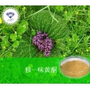 獨(dú)一味黃酮