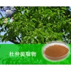 杜仲提取物 清熱解毒
