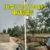邢臺太陽能路燈哪個(gè)牌子好,邢臺6米太陽能路燈廠家