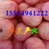 １５５５４９４１２２２山東紅富士蘋果產(chǎn)地直銷批發(fā)價(jià)格