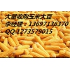 大量收購玉米 實力商家