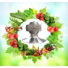榮泰納米植物生長燈/臭氧生長燈的作用和效果