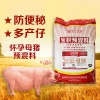 寶積懷孕母豬預混料中草藥飼料補血氣奶水好