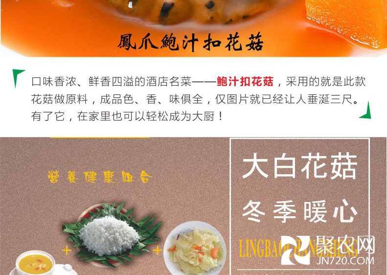 大白菇詳情