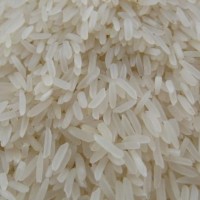 大量求購國產(chǎn)大米、碎米、緬甸大米、越南大米