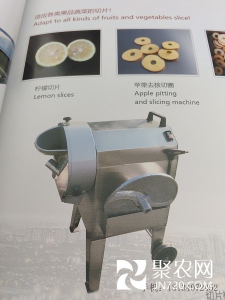 紅棗切片機 全自動紅棗切片機