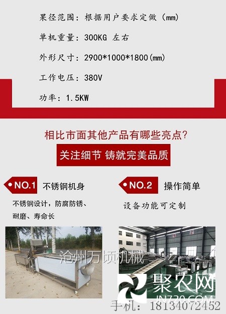 棗清洗機 紅棗/駿棗清洗機
