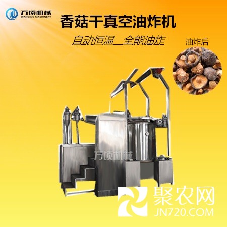 香菇干真空油炸機(jī)