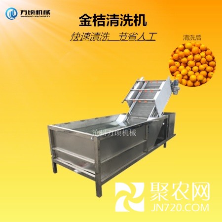 金桔清洗機