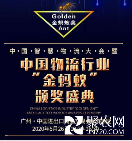 金螞蟻1