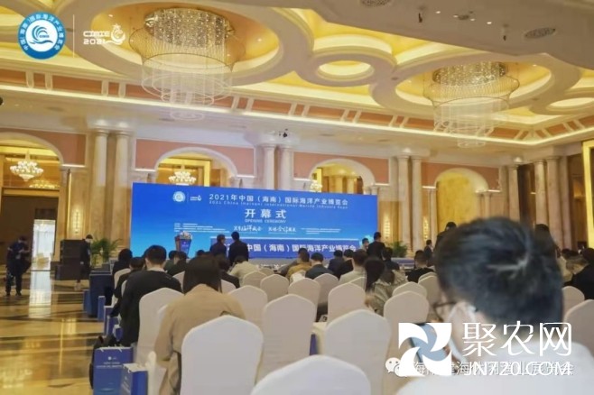 WPS圖片-修改尺寸