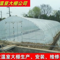 聯合六型單體塑料管棚 種植蔬菜大棚水果大棚