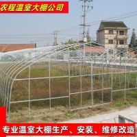 聯合六型單體蔬菜大棚 單體鋼管溫室大棚